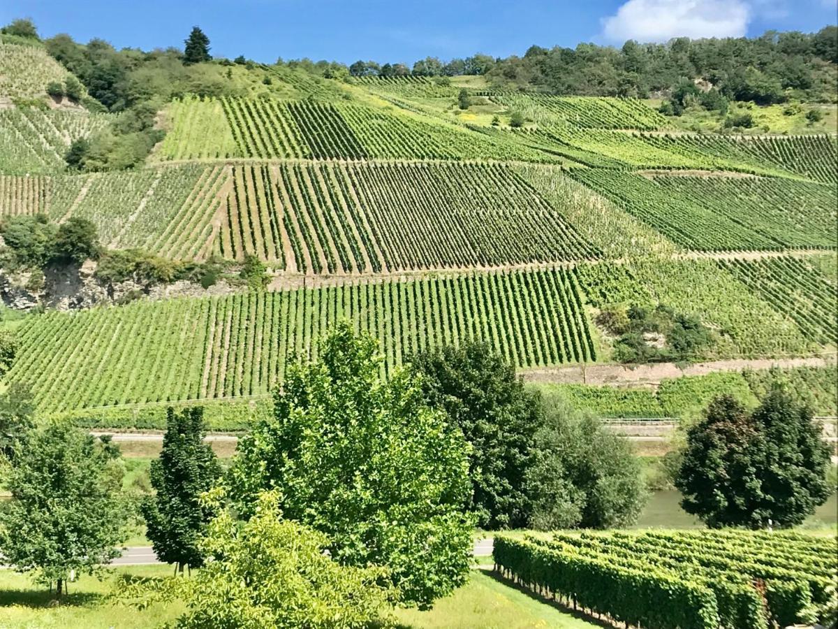Weinlofts An Der Mosel Mit E10 Ladestation Daire Köwerich Dış mekan fotoğraf