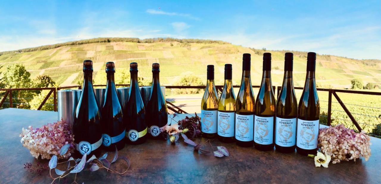Weinlofts An Der Mosel Mit E10 Ladestation Daire Köwerich Dış mekan fotoğraf