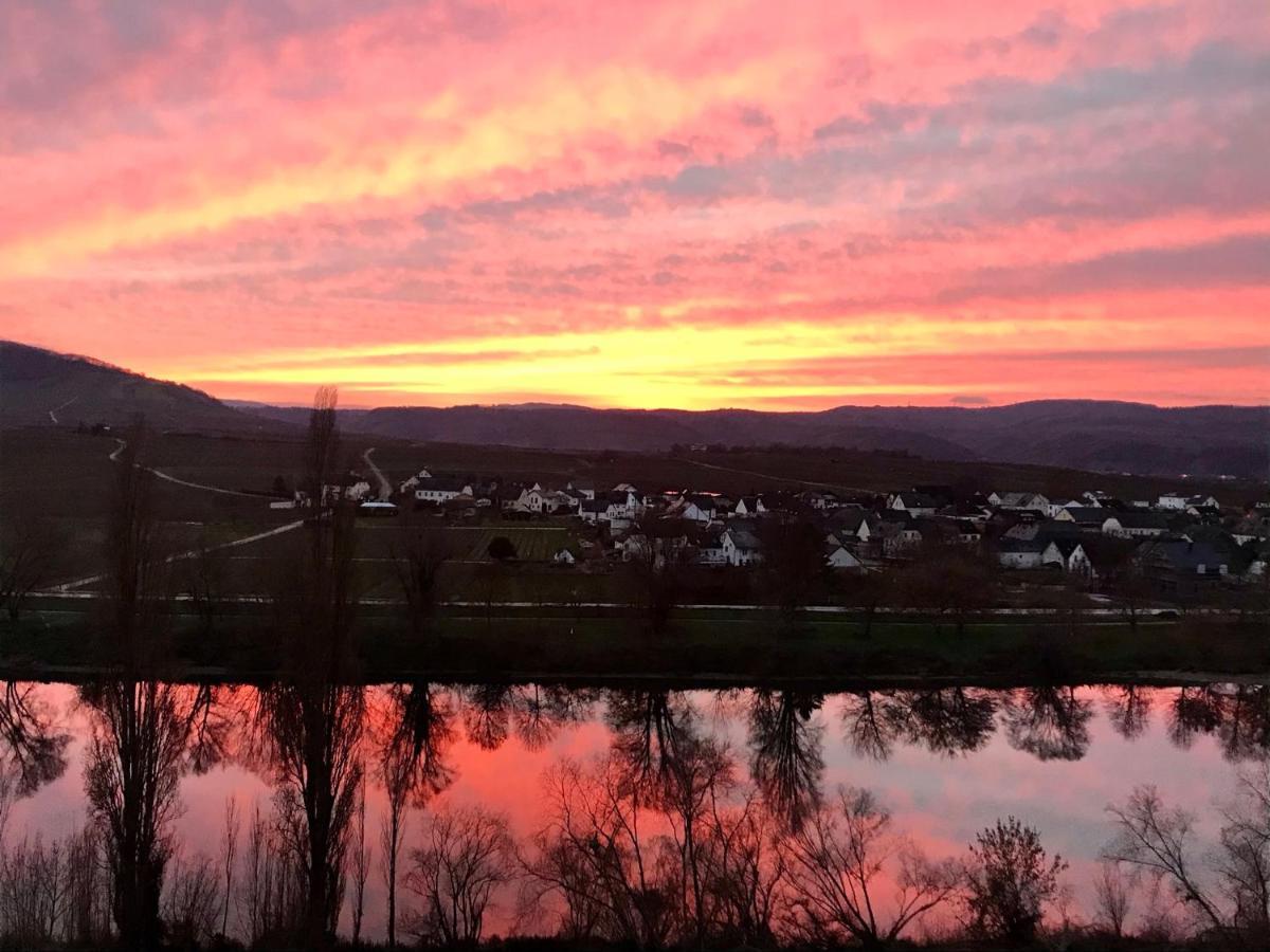 Weinlofts An Der Mosel Mit E10 Ladestation Daire Köwerich Dış mekan fotoğraf