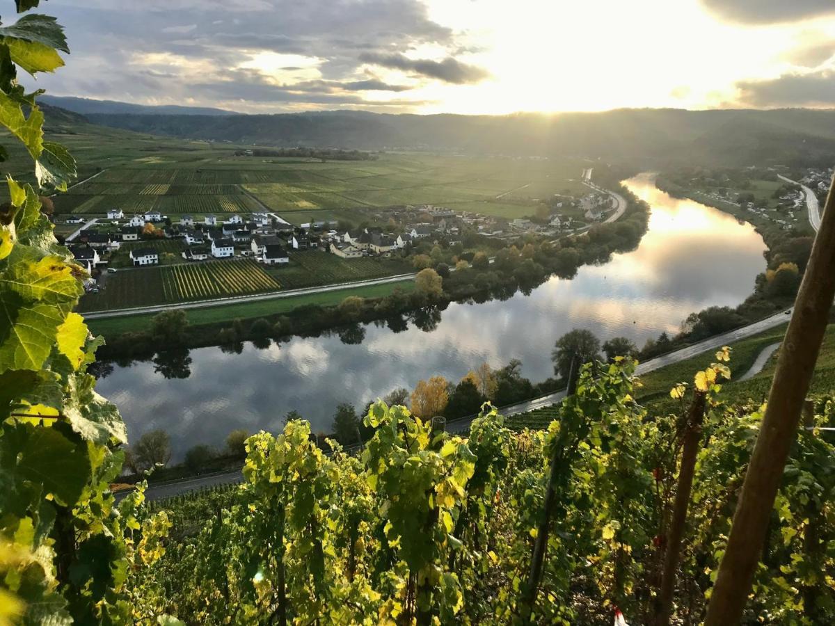 Weinlofts An Der Mosel Mit E10 Ladestation Daire Köwerich Dış mekan fotoğraf