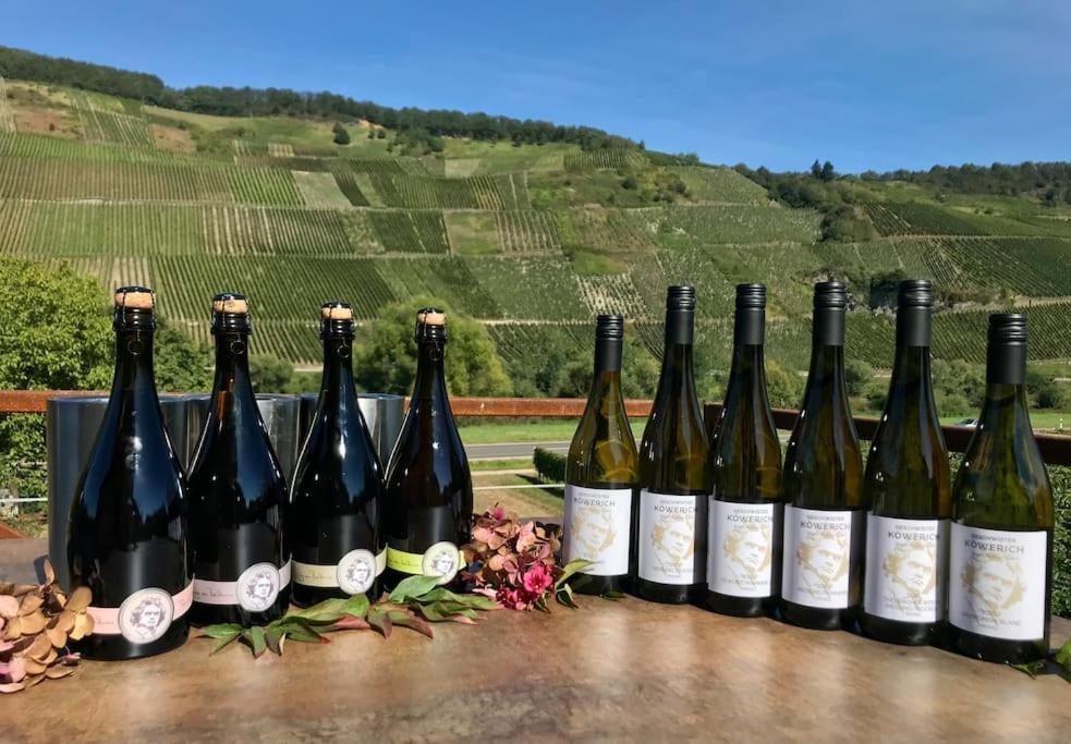 Weinlofts An Der Mosel Mit E10 Ladestation Daire Köwerich Dış mekan fotoğraf